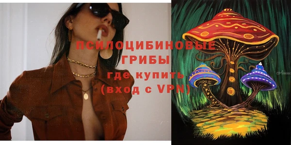 дживик Армянск